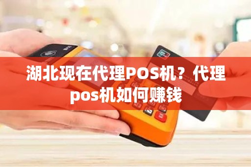 湖北现在代理POS机？代理pos机如何赚钱