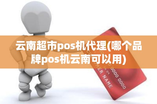 云南超市pos机代理(哪个品牌pos机云南可以用)