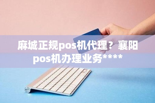 麻城正规pos机代理?襄阳pos机办理业务**** 麻城正规pos机代理?襄阳pos机办理业务****