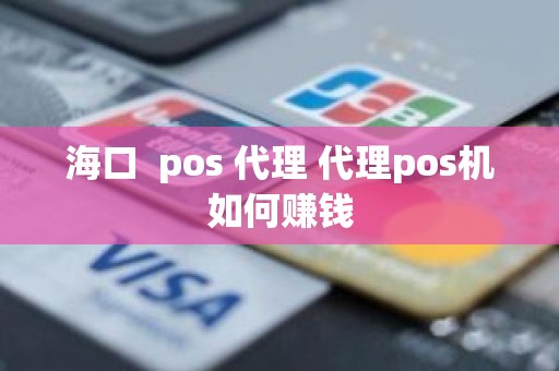 海口  pos 代理 代理pos机如何赚钱