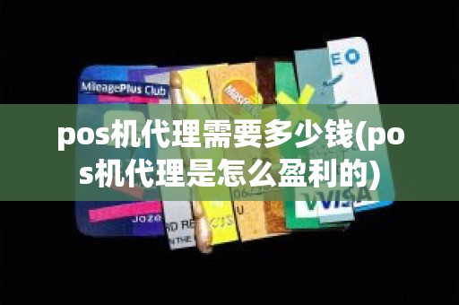 pos机代理需要多少钱(pos机代理是怎么盈利的)
