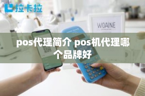 pos代理简介 pos机代理哪个品牌好