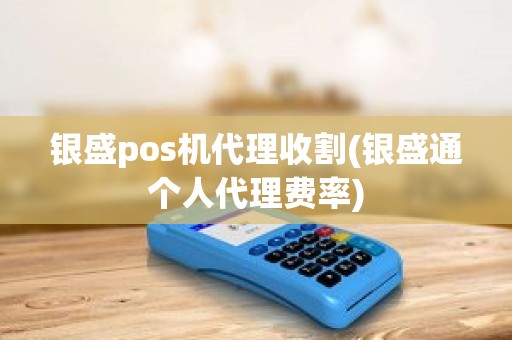 银盛pos机代理收割(银盛通个人代理费率)