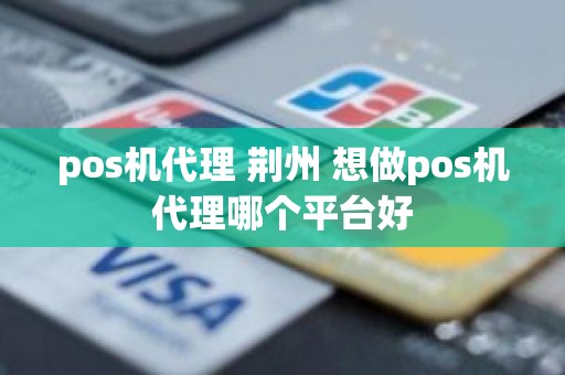 pos机代理 荆州 想做pos机代理哪个平台好