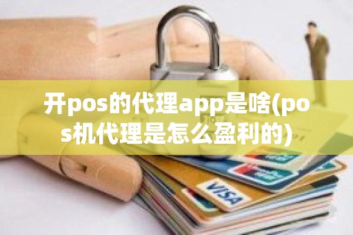 开pos的代理app是啥(pos机代理是怎么盈利的)