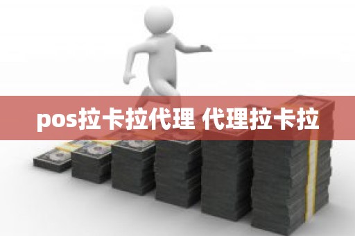 pos拉卡拉代理 代理拉卡拉