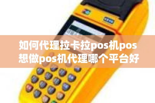 如何代理拉卡拉pos机pos 想做pos机代理哪个平台好