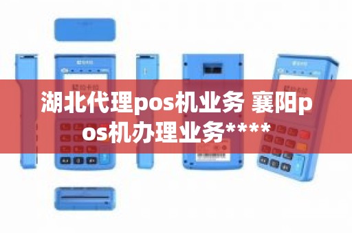 湖北代理pos机业务 襄阳pos机办理业务****