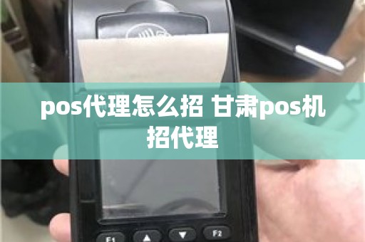 pos代理怎么招 甘肃pos机招代理 pos代理怎么招 甘肃pos机招代理
