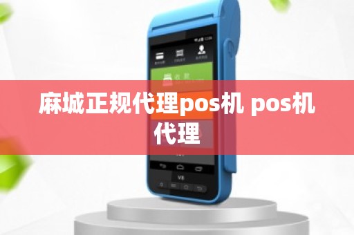 麻城正规代理pos机 pos机代理