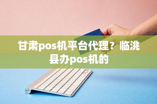 甘肃pos机平台代理？临洮县办pos机的