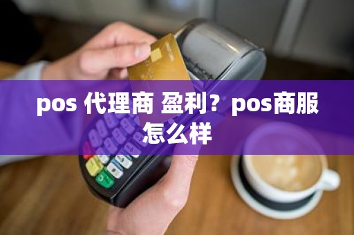 pos 代理商 盈利？pos商服怎么样