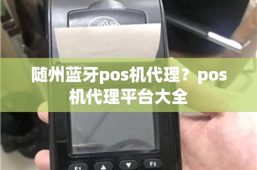 随州蓝牙pos机代理？pos机代理平台大全