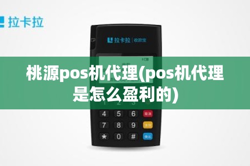 桃源pos机代理(pos机代理是怎么盈利的)