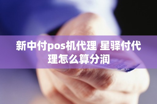 新中付pos机代理 星驿付代理怎么算分润