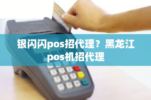 银闪闪pos招代理？黑龙江pos机招代理