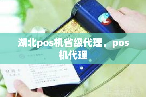 湖北pos机省级代理，pos机代理