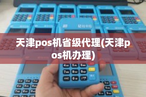 天津pos机省级代理(天津pos机办理)