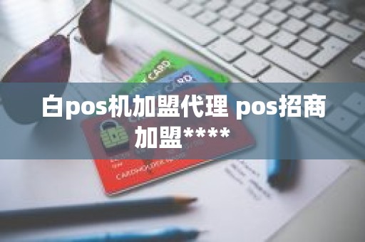 白pos机加盟代理 pos招商加盟****