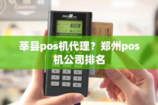 莘县pos机代理？郑州pos机公司排名