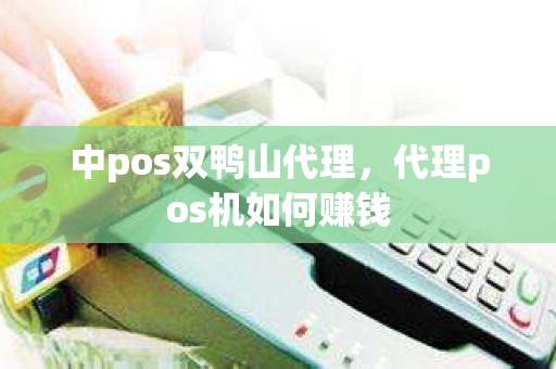 中pos双鸭山代理，代理pos机如何赚钱