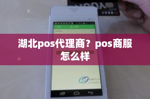 湖北pos代理商？pos商服怎么样