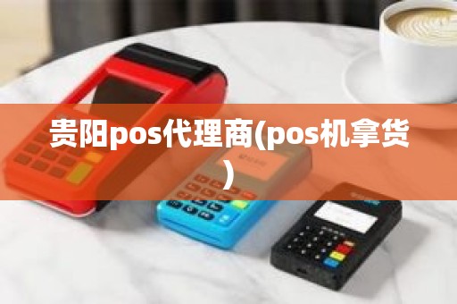 贵阳pos代理商(pos机拿货)