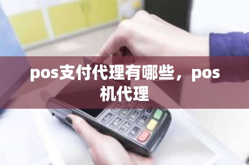 pos支付代理有哪些，pos机代理