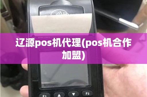 辽源pos机代理(pos机合作加盟)