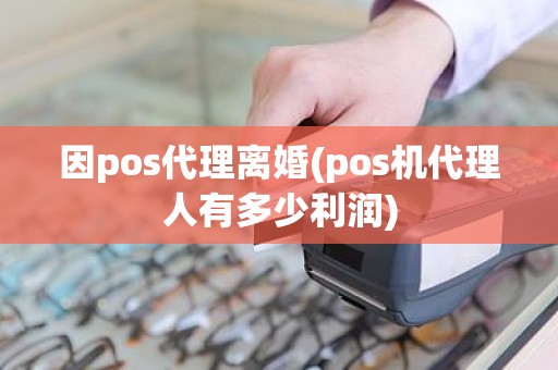 因pos代理离婚(pos机代理人有多少利润)