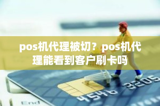 pos机代理被切？pos机代理能看到客户刷卡吗