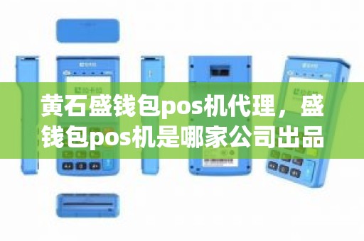 黄石盛钱包pos机代理，盛钱包pos机是哪家公司出品的