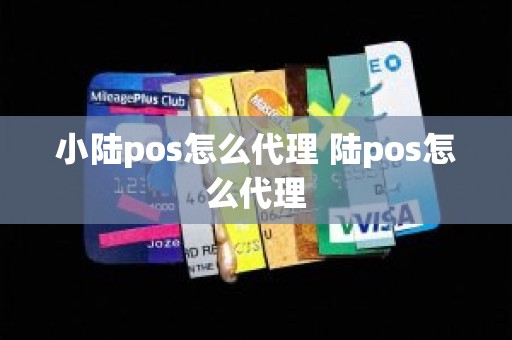 小陆pos怎么代理 陆pos怎么代理