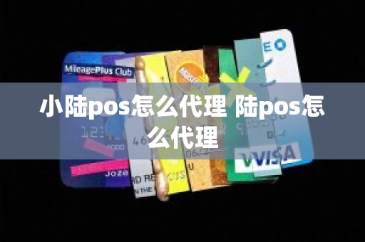 小陆pos怎么代理 陆pos怎么代理