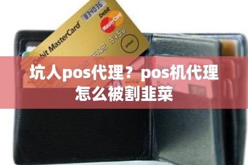 坑人pos代理？pos机代理怎么被割韭菜