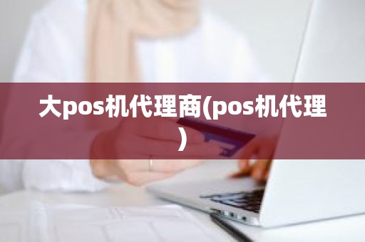 大pos机代理商(pos机代理)