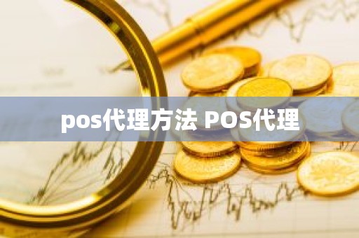 pos代理方法 POS代理