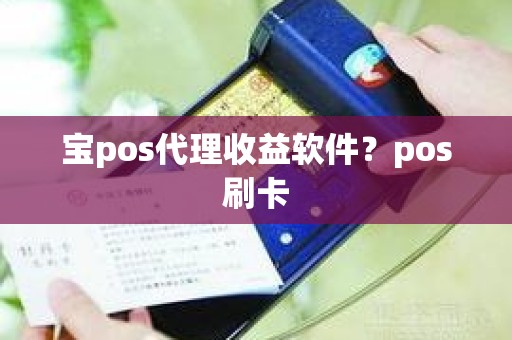 宝pos代理收益软件？pos刷卡