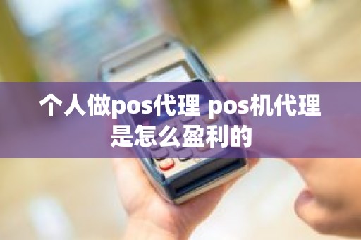 个人做pos代理 pos机代理是怎么盈利的