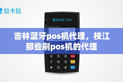 吉林蓝牙pos机代理，枝江那些刷pos机的代理
