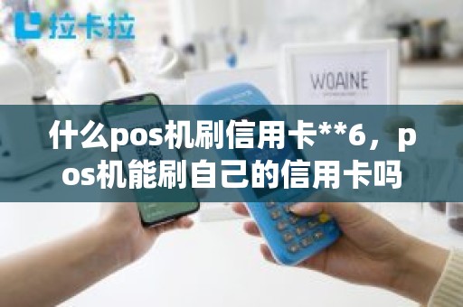 什么pos机刷信用卡**6，pos机能刷自己的信用卡吗