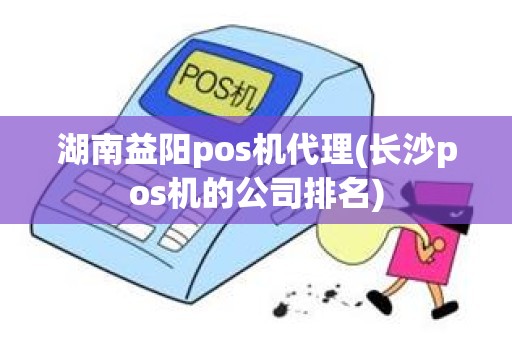 湖南益阳pos机代理(长沙pos机的公司排名)