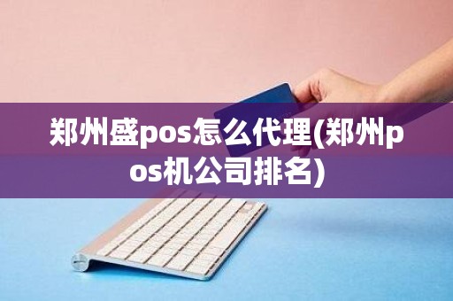 郑州盛pos怎么代理(郑州pos机公司排名)