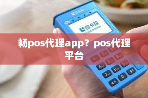 畅pos代理app？pos代理平台