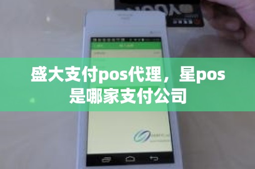 盛大支付pos代理，星pos是哪家支付公司