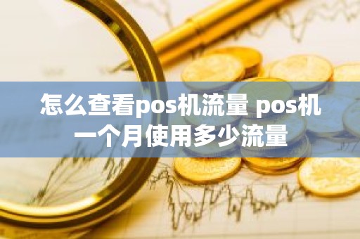 怎么查看pos机流量 pos机一个月使用多少流量