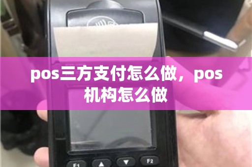 pos三方支付怎么做，pos机构怎么做