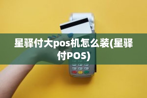 星驿付大pos机怎么装(星驿付POS)