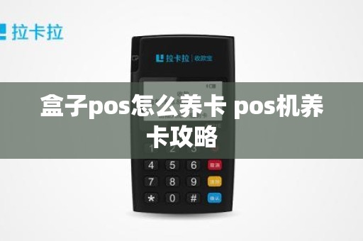 盒子pos怎么养卡 pos机养卡攻略