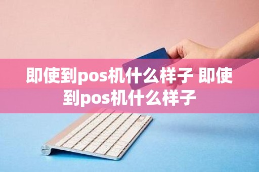 即使到pos机什么样子 即使到pos机什么样子